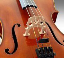 Photo of a cello