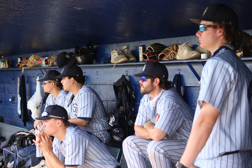 Dugout shot South Suburban College