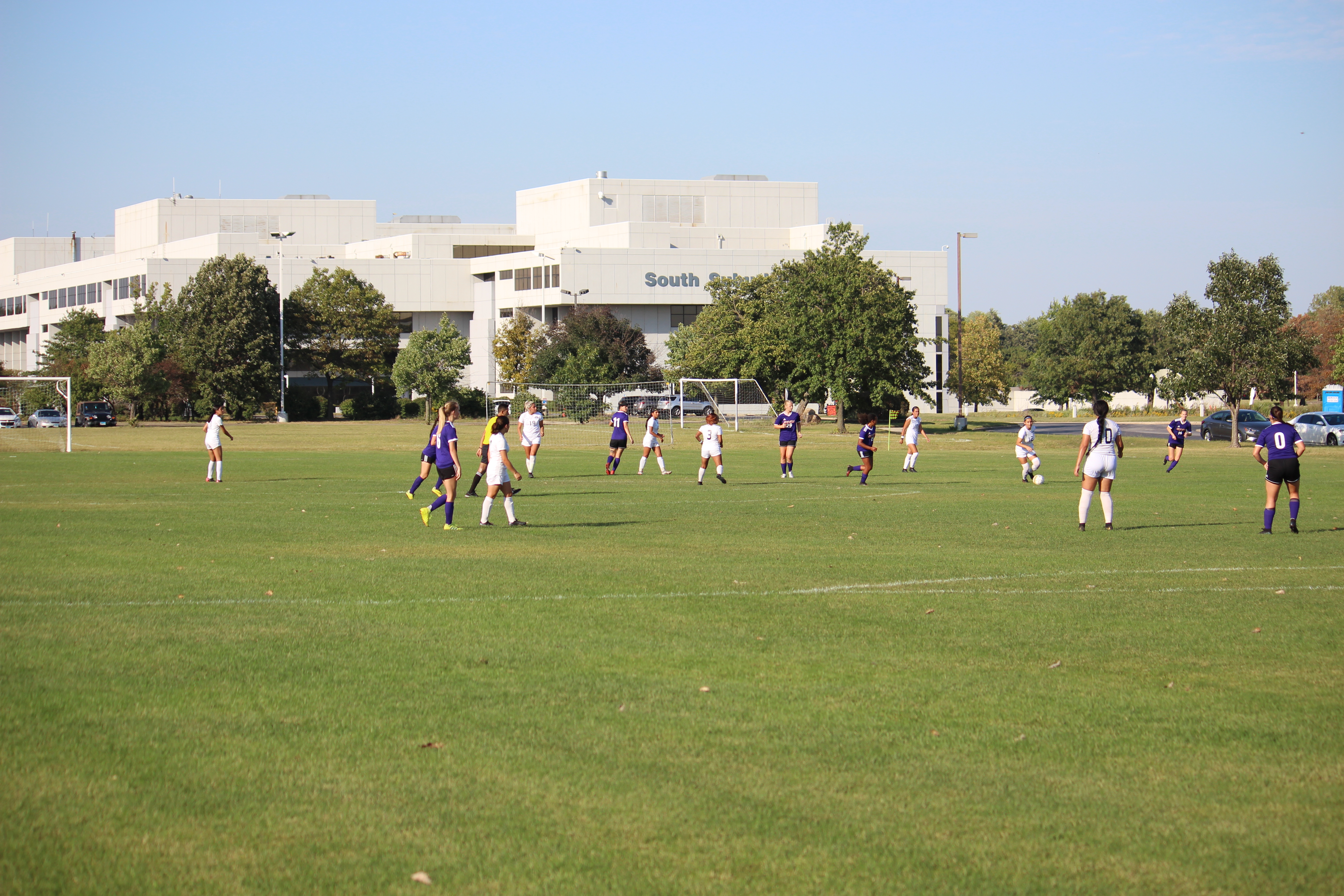 Lady Bulldog Field Action