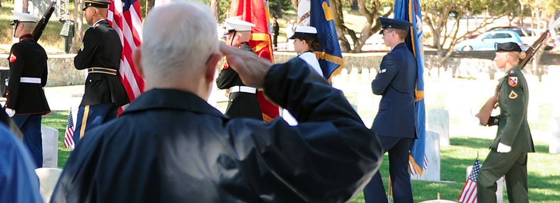 Photo of a veteran saluting the passing color guard