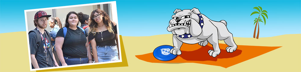 Page header of Bruno the Bulldog on the beach