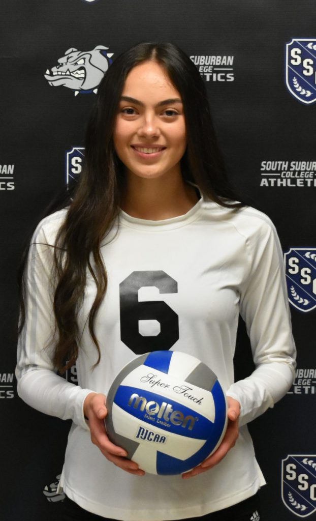 Volleyball Player NO. 6