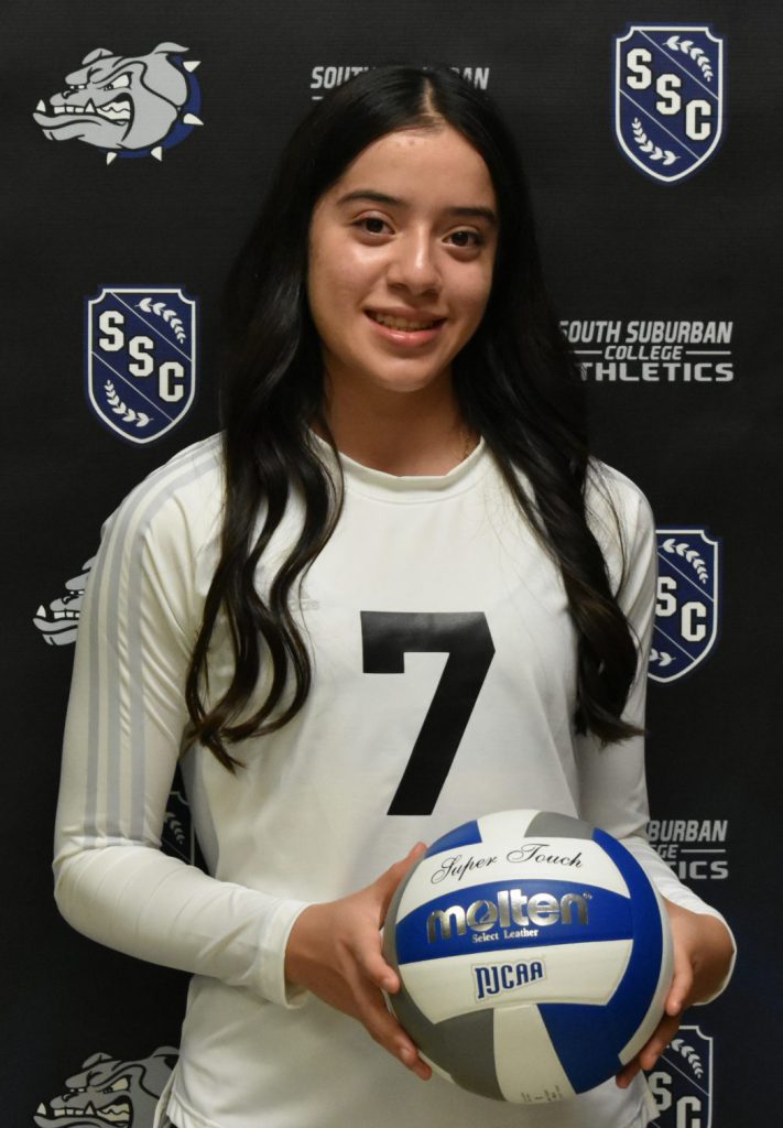 Volleyball Player NO. 7