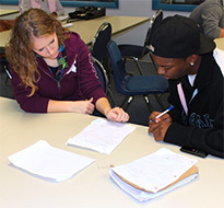 A featured photo of an Adult Tutoring a student