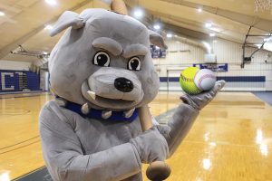 A photo of Bruno, the South Suburban College Bulldogs mascot, posing with a baseball and softball in the Physical Fitness & Athletic Center.