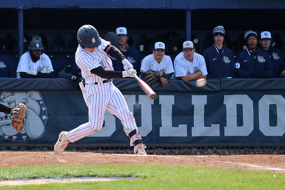 2025 Baseball Action Shot