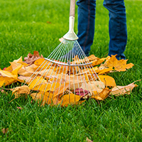 A person raking leaves