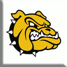 Richards High School