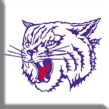 Thornton High School