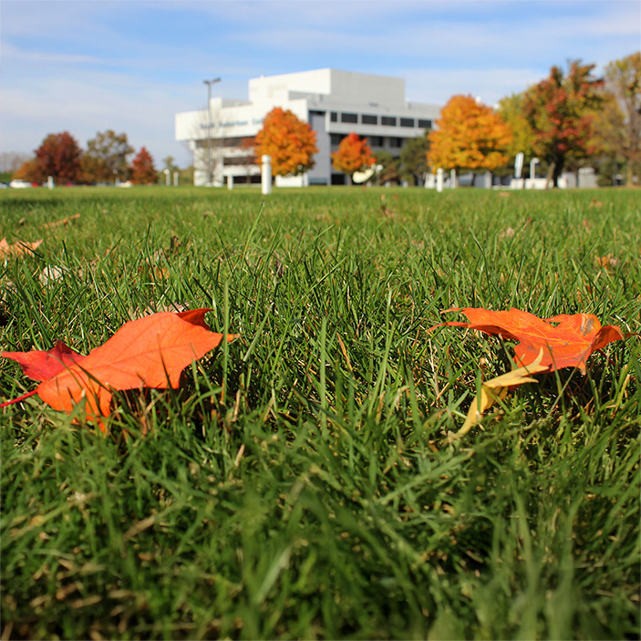 Fall Fest